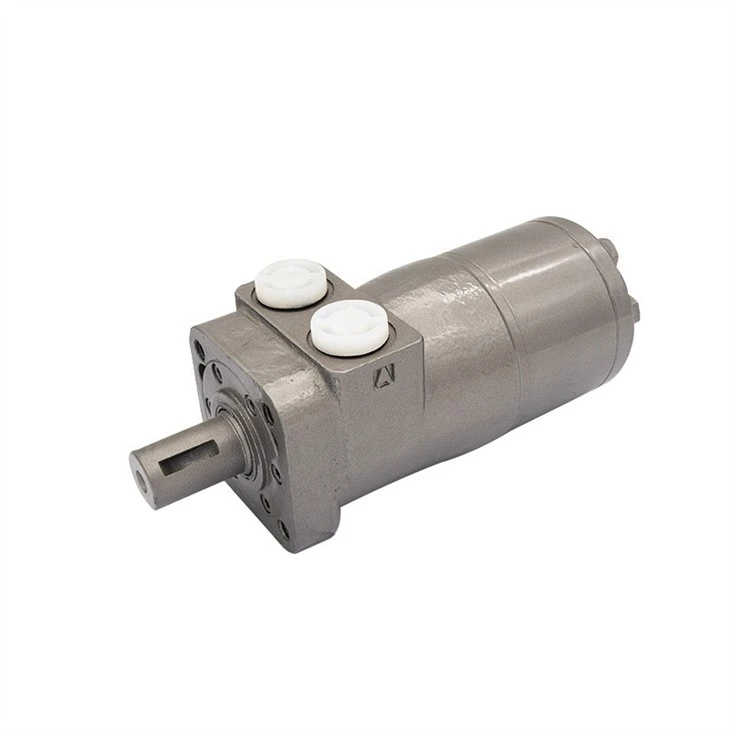 Hydraulic Motor Engine OML OMM OMP OMPN OMR OMH OMS OMT OMV DH DS Series For Danfoss